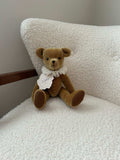 Primula Bear in Maple
