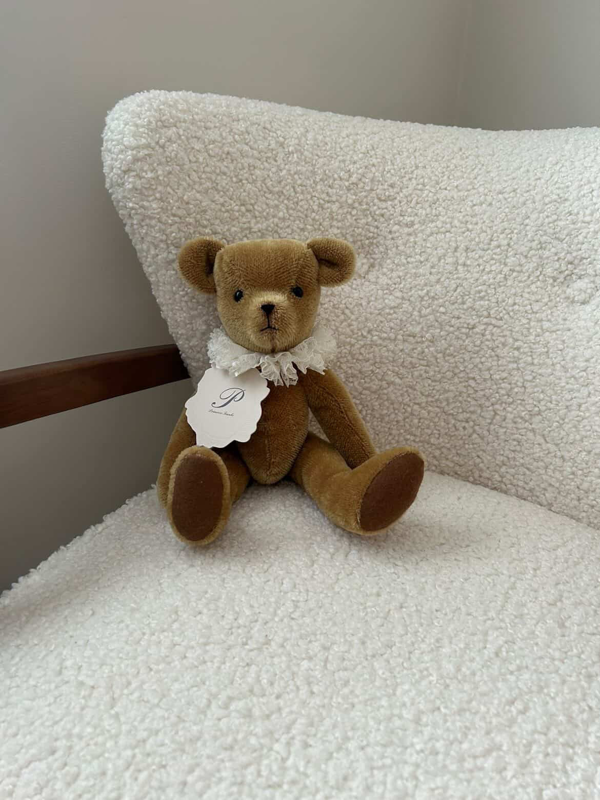 Primula Bear in Maple