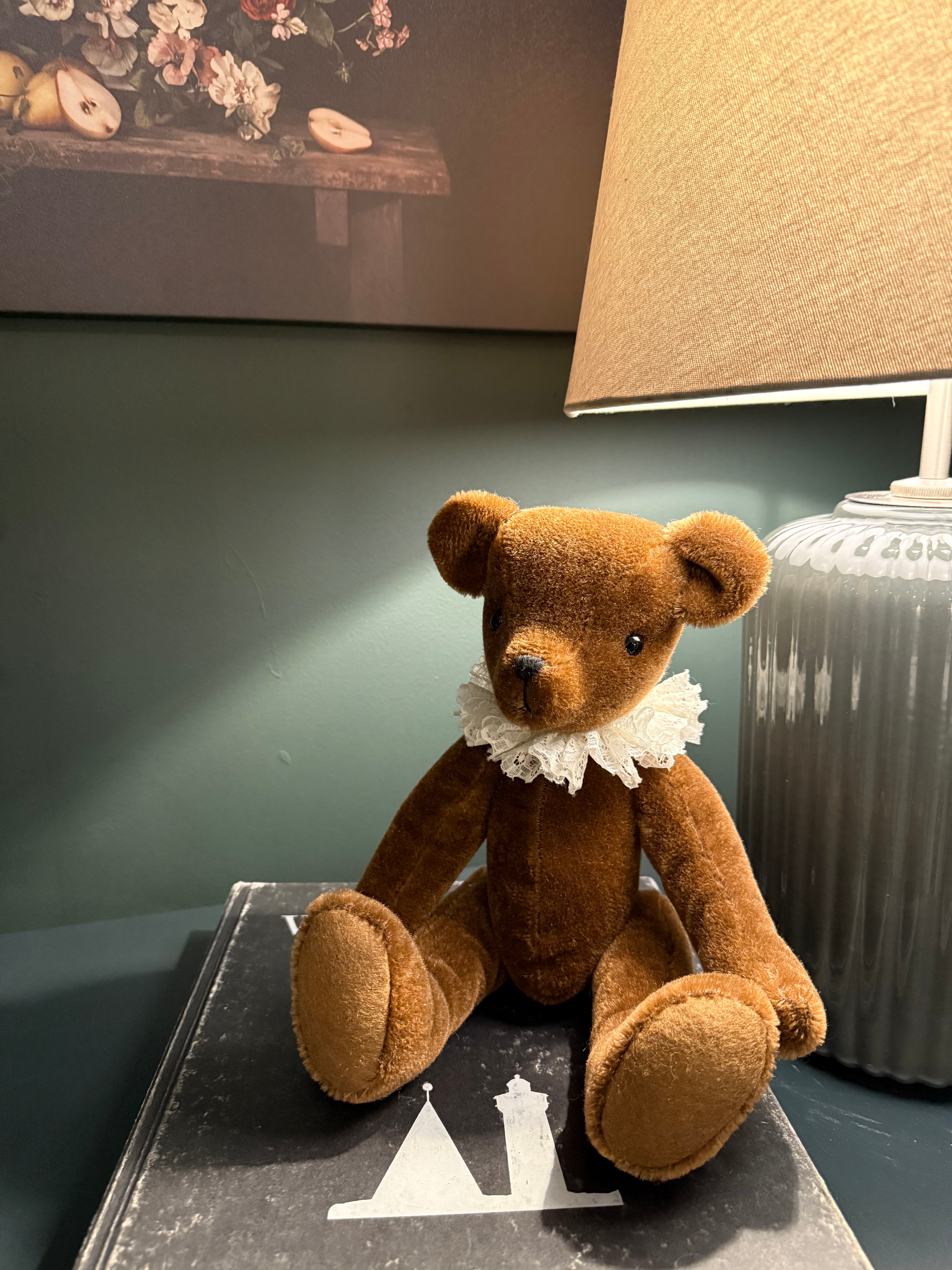 Primula Bear in Mocha