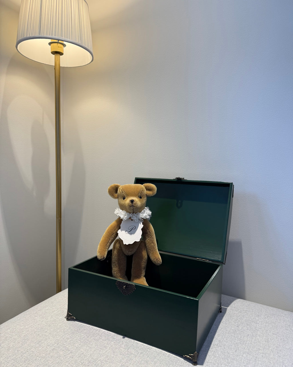Primula Bear in Maple