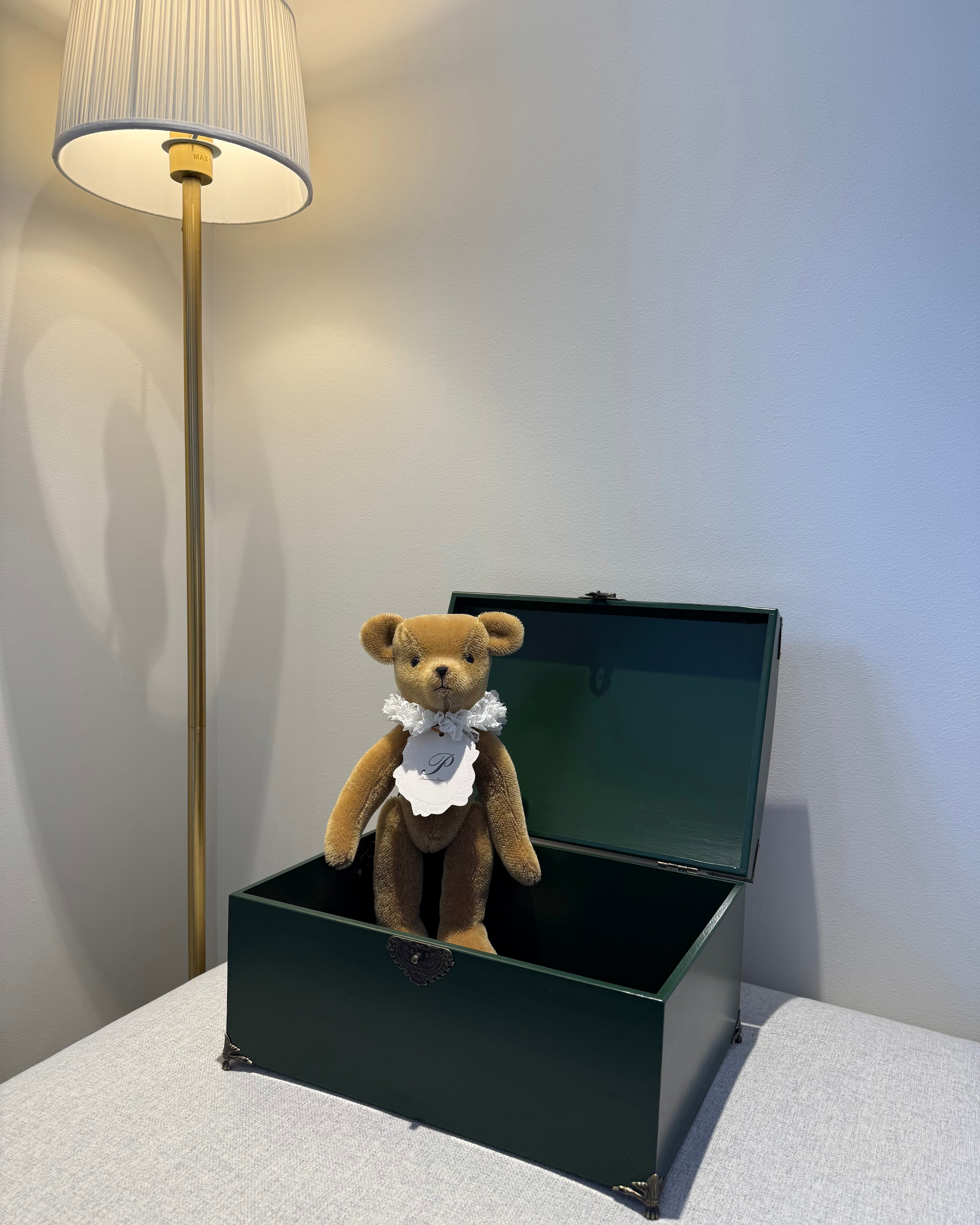 Primula Bear in Maple