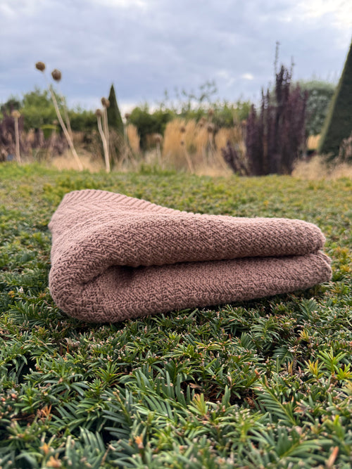 Organic Cotton Mocha Blanket