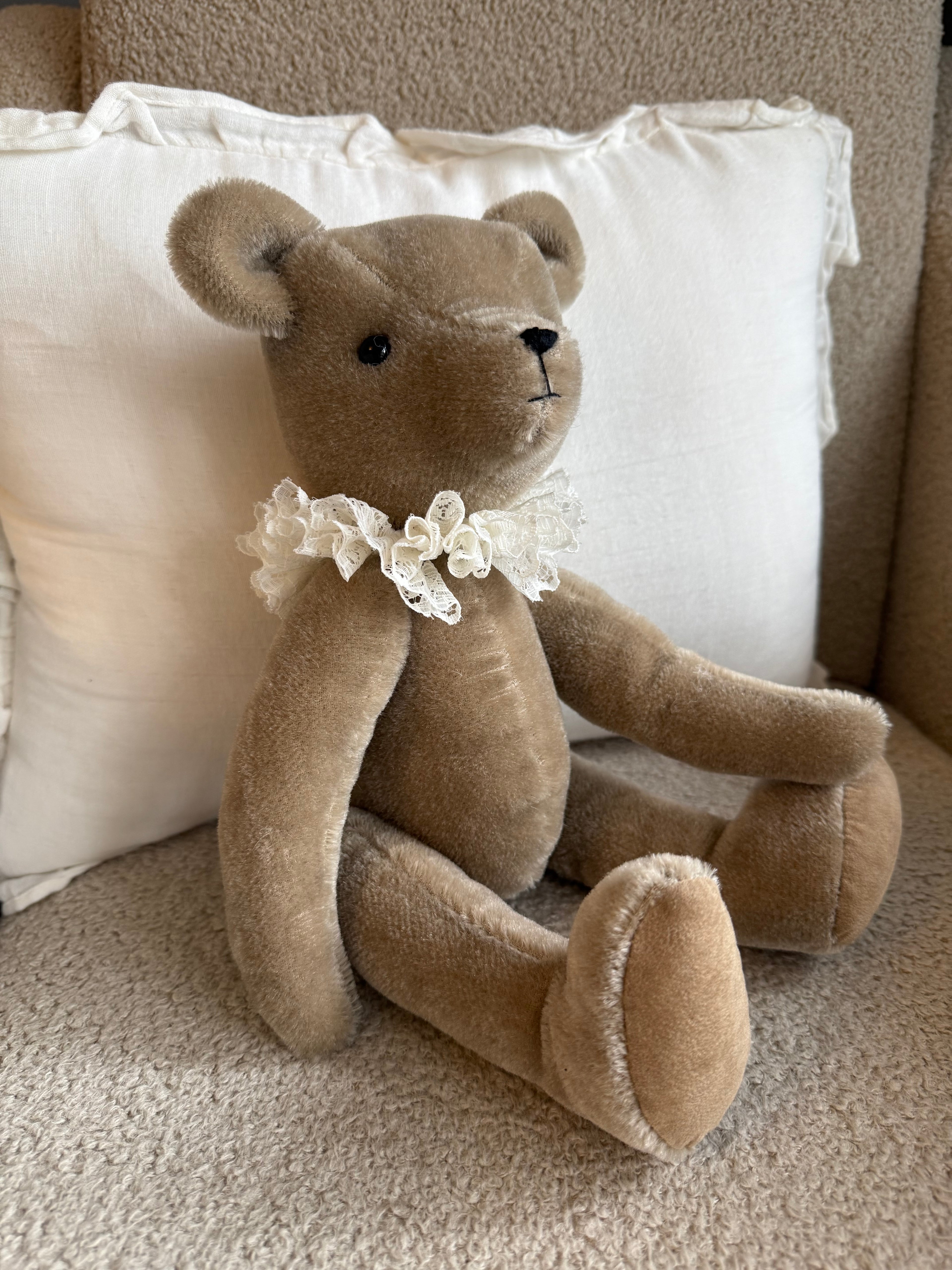 Primula Bear in Fawn