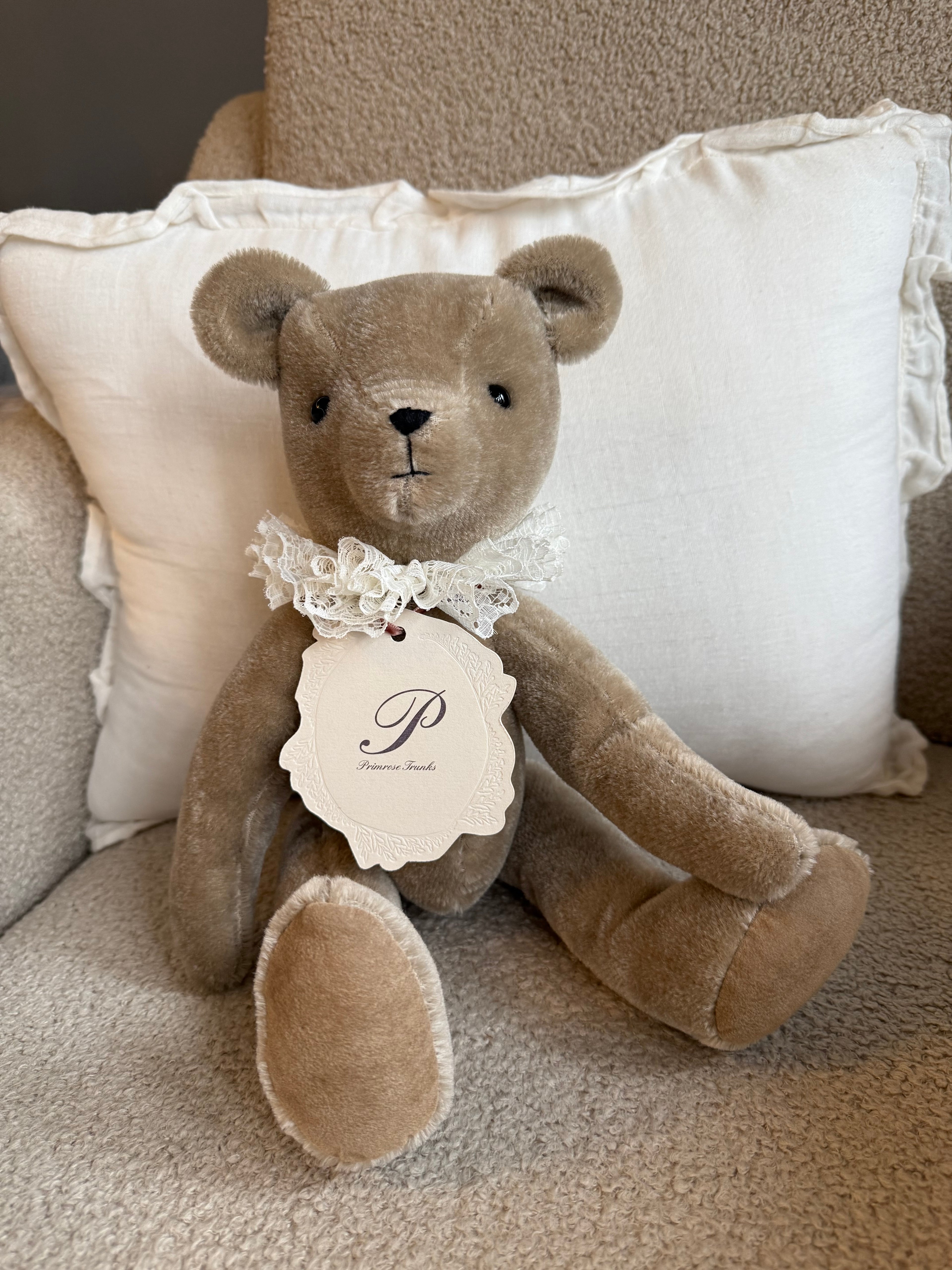 Primula Bear in Fawn