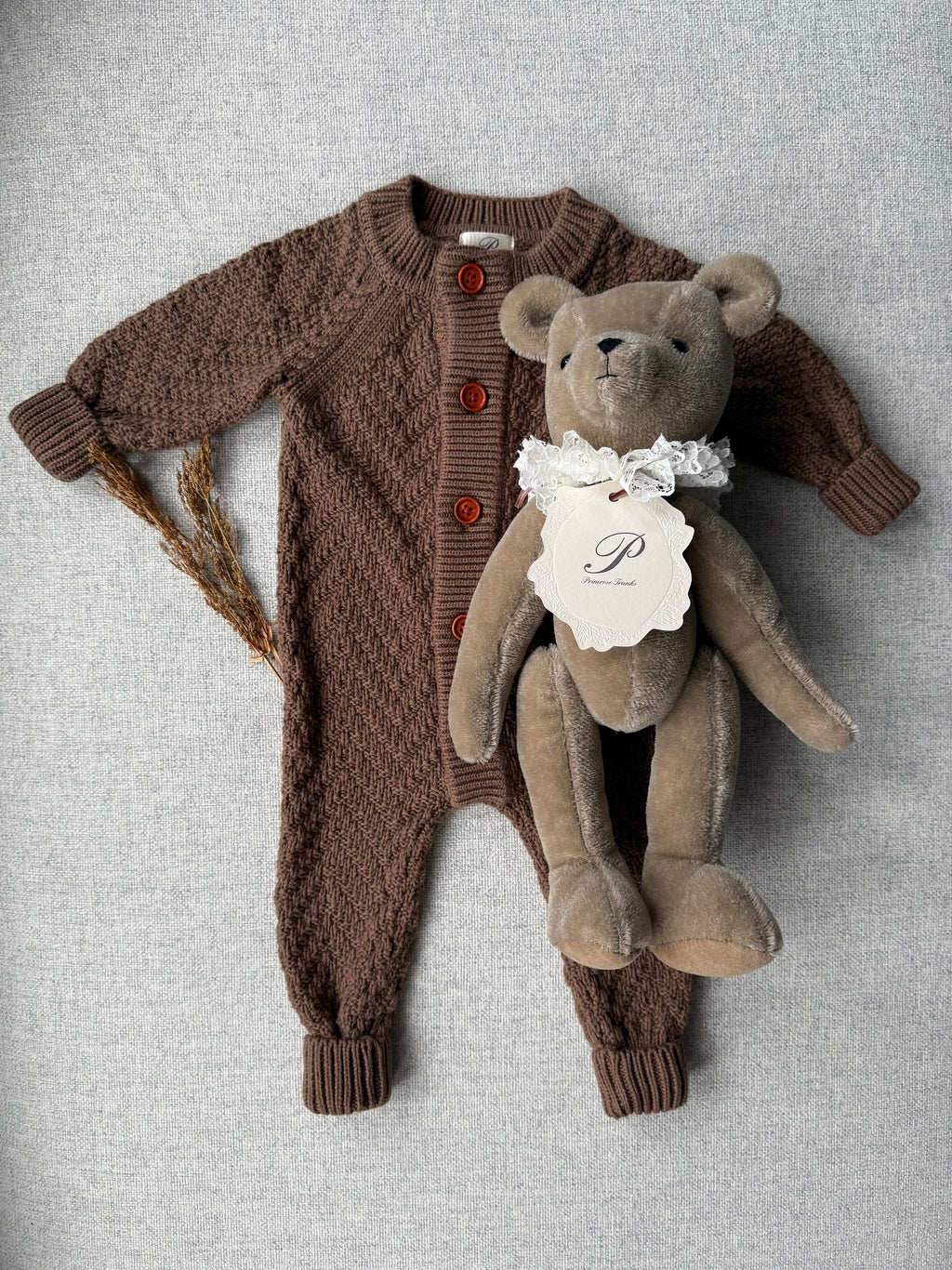Primula Bear in Fawn