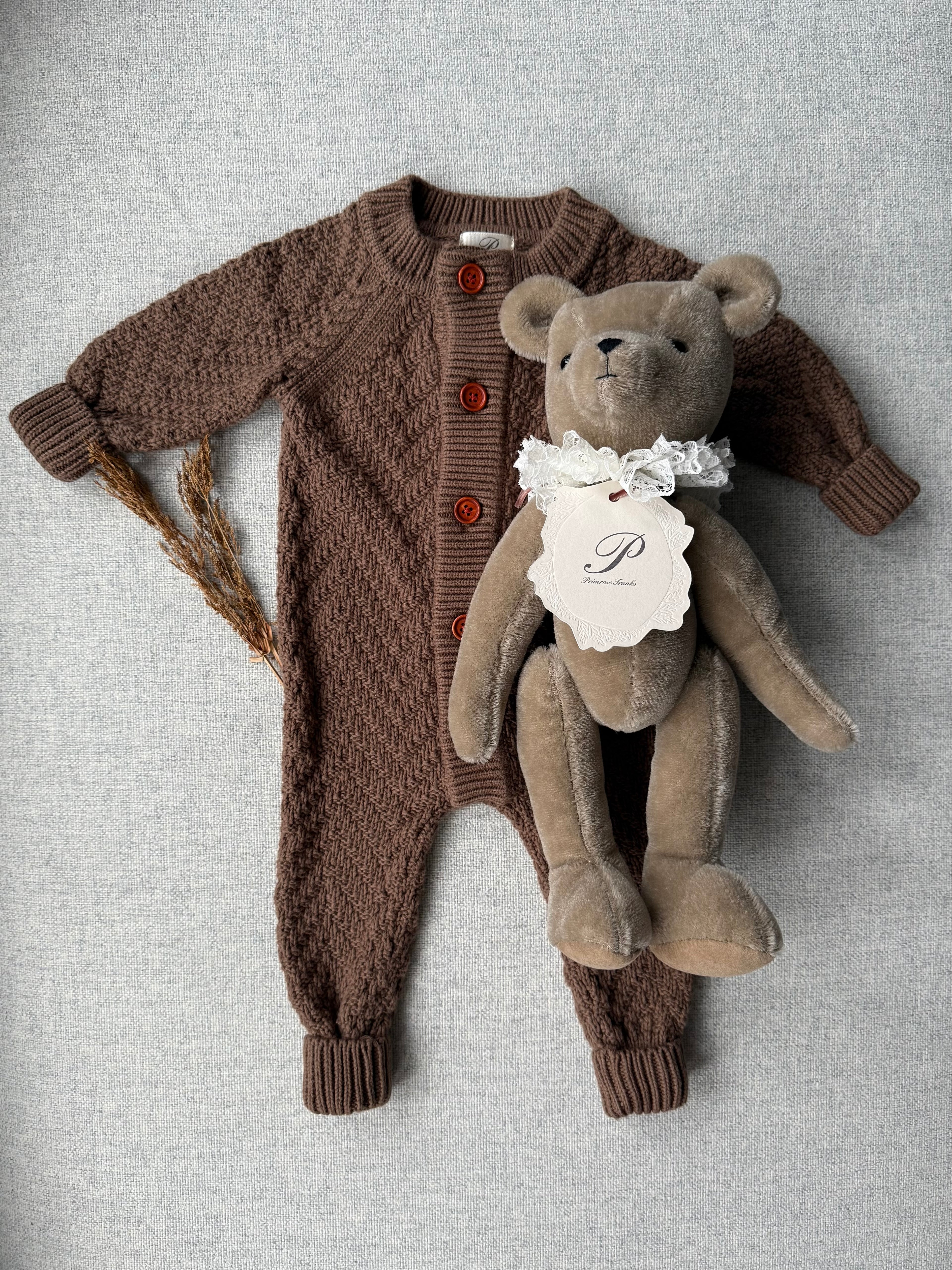 Primula Bear in Fawn