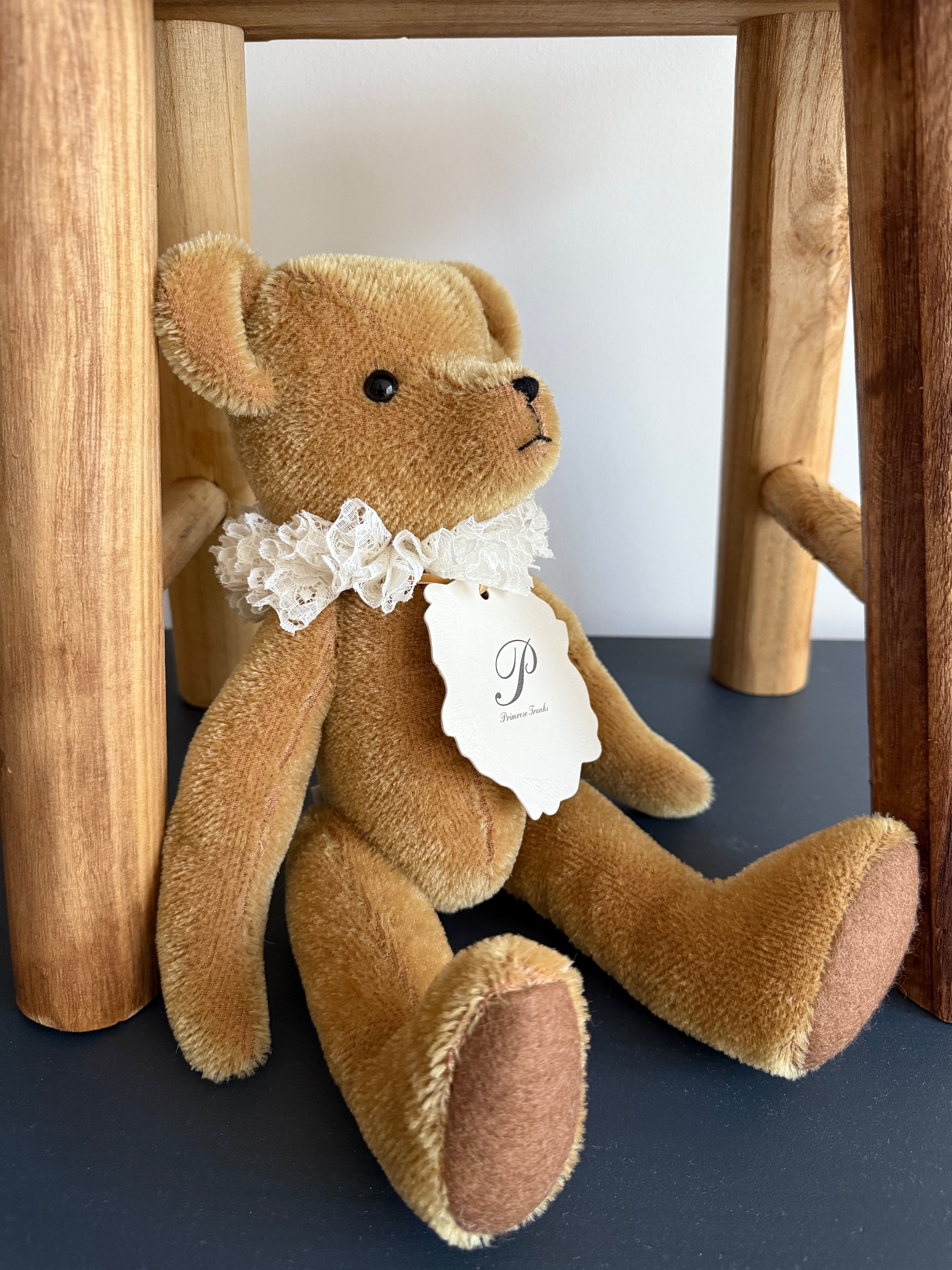 Primula Bear in Maple